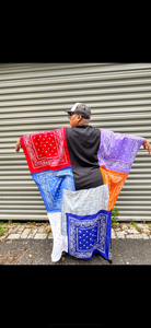 Graphic Bandana Graphic T